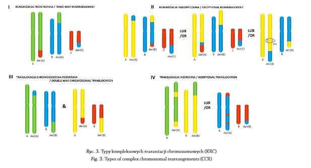  3. Types of complex chromosomal rearrangements (CCR)